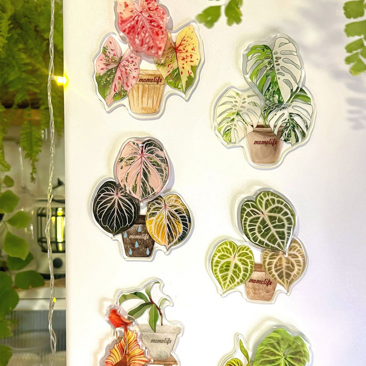 Original plant-themed magnetic stickers—creative, trendy, and eco-friendly—featuring rotating fridge magnets with greenery designs.