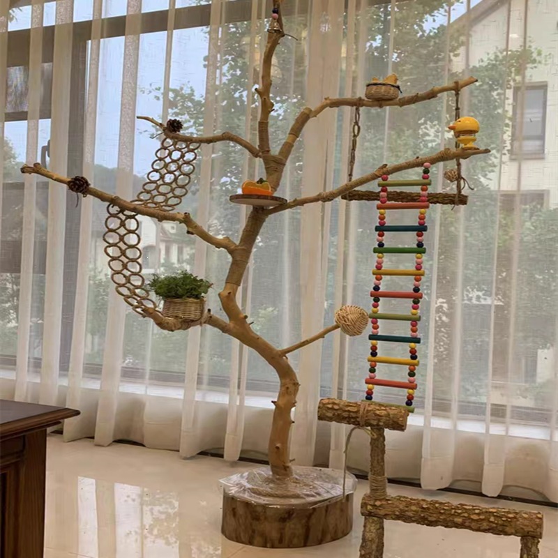 Bird perch, parrot perch, floor‑standing branch perch, training stand with swing, decorative birdhouse, and natural wood branch perch for budgerigars