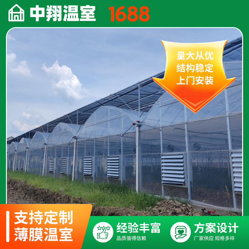 Multi‑span film greenhouses with excellent light transmission and rapid construction—ideal for growing fruits and vegetables; on‑site measurement and installation services available.