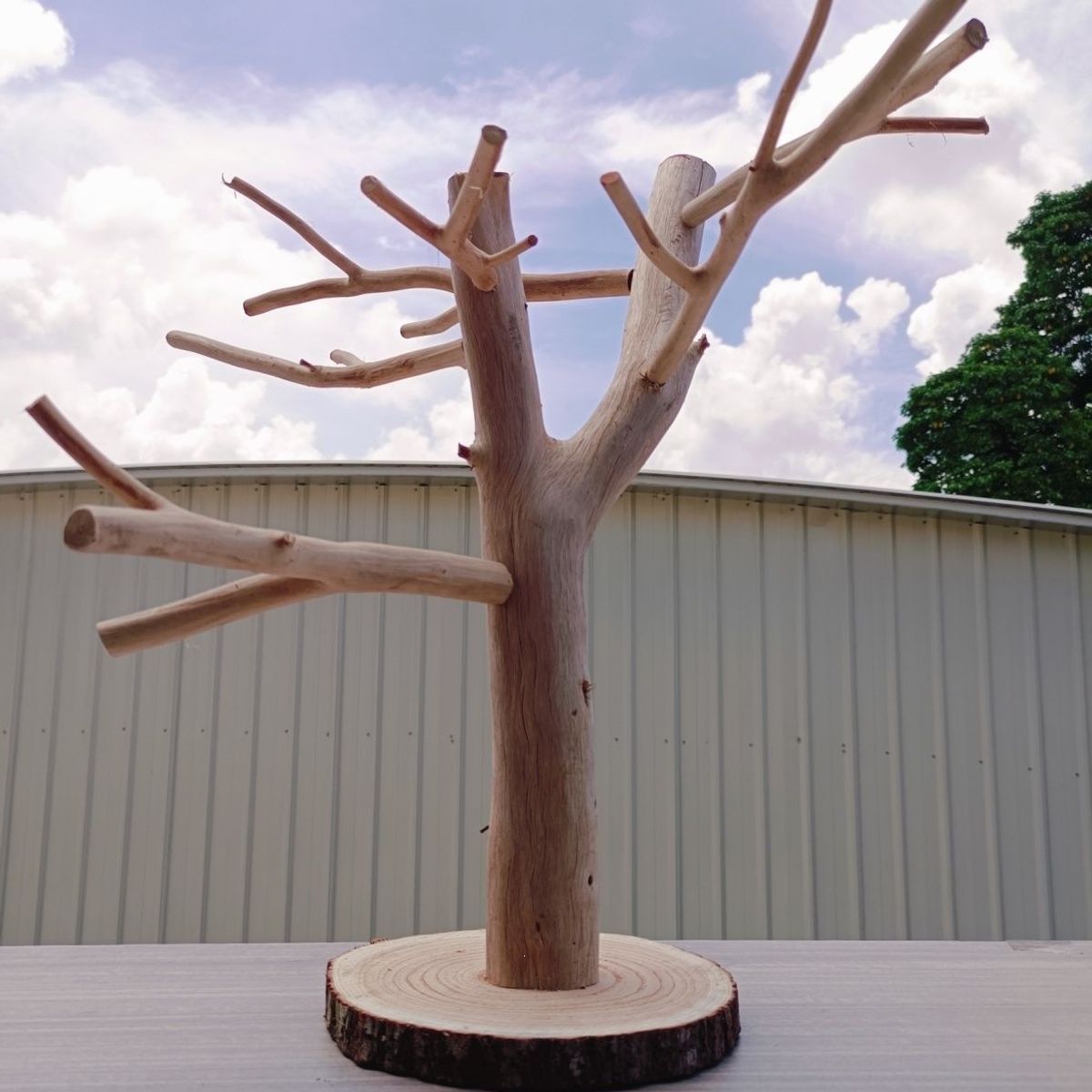 Small bird perch, grape‑wood branch, trunk, sun‑shaped parrot perch, jujube‑wood bird perch, branch‑styled landscape décor