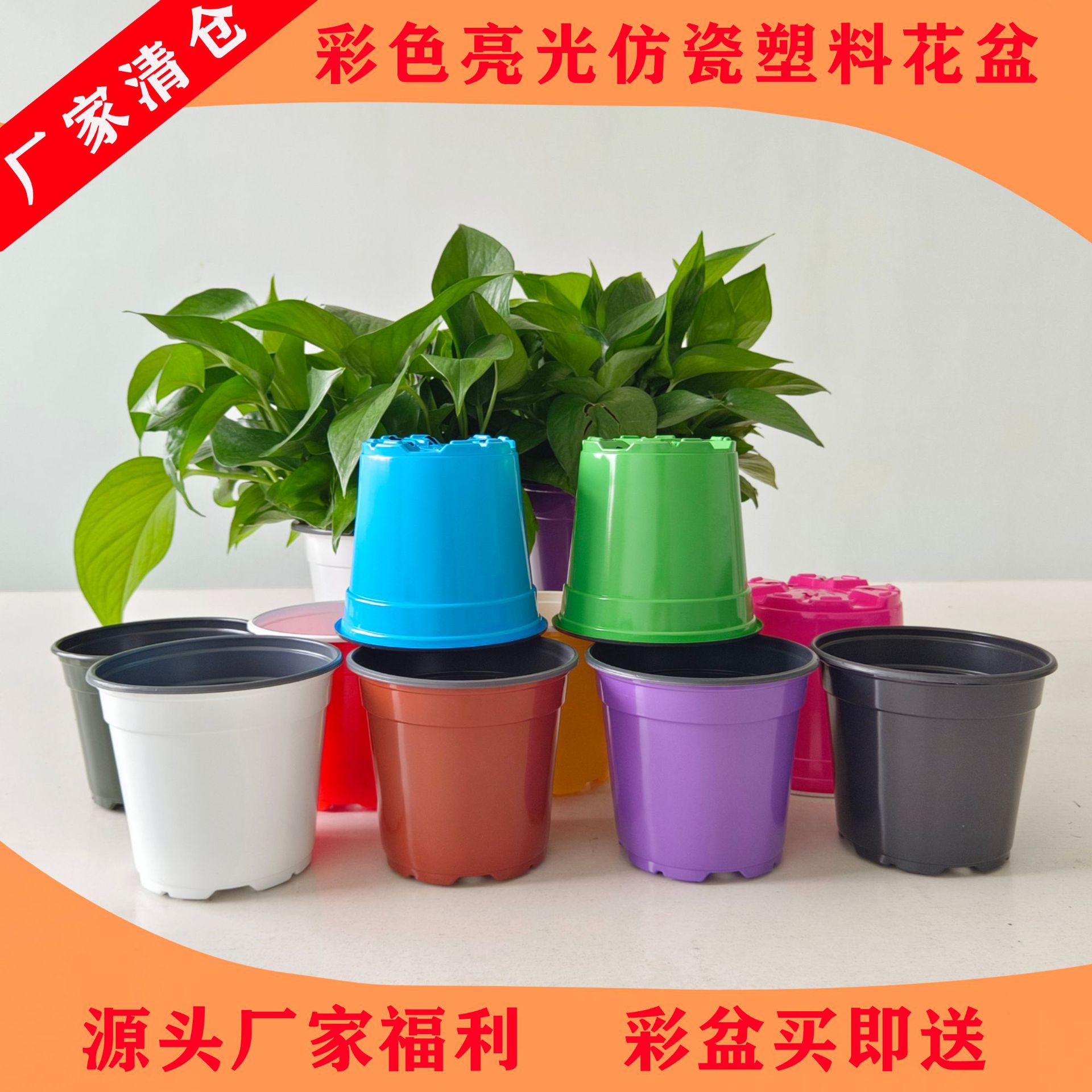 Manufacturer wholesale: plastic flower pots, seedling pots, colorful two-tone flower pots, succulent pots, colored plastic flower pots—available in stock.