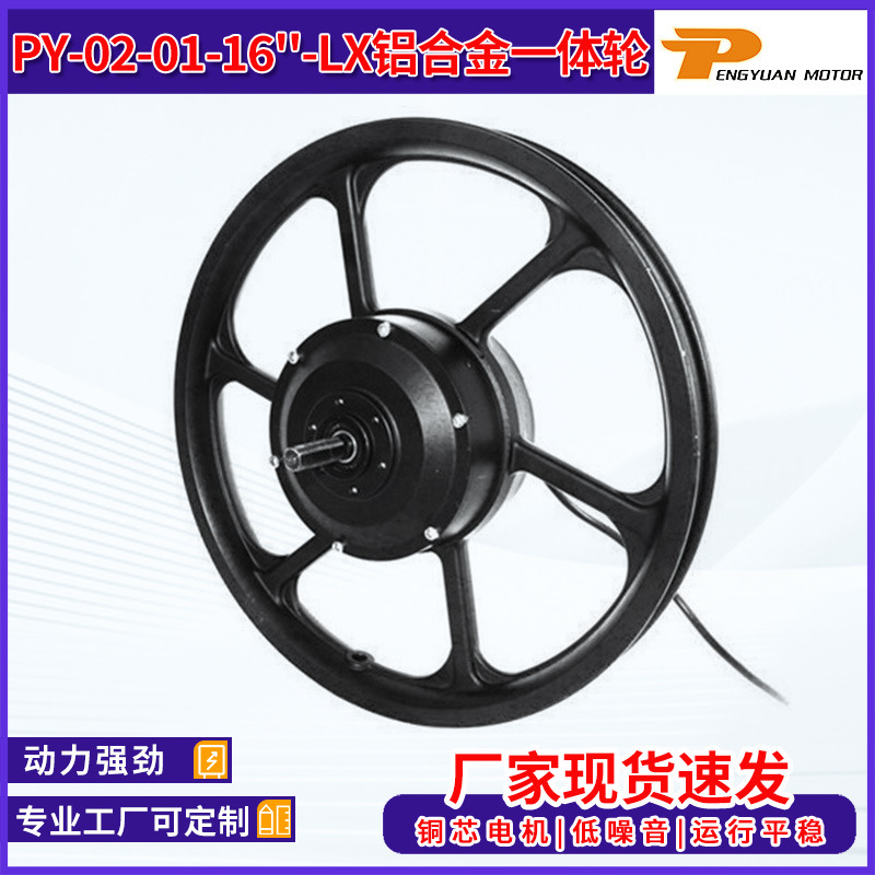 PY-02-01-16''-LX aluminum alloy single-wheel motor electric bicycle mountain bike copper core motor wholesale