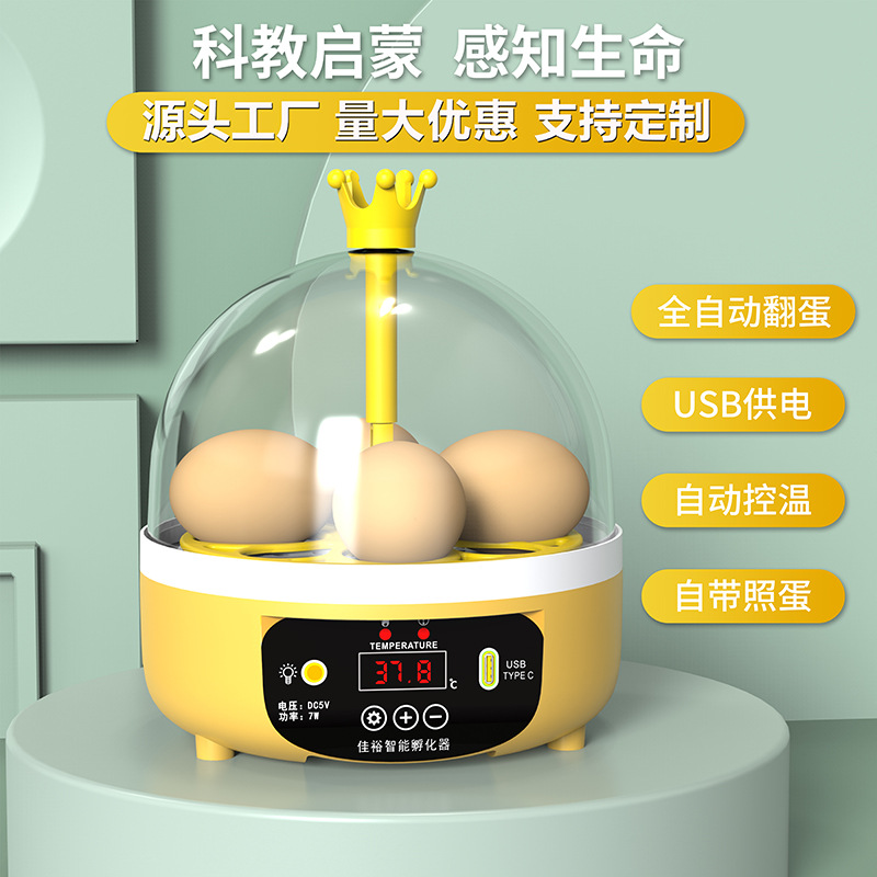 Small egg boiler fully automatic incubator small household mini children incubator foreign trade smart incubator