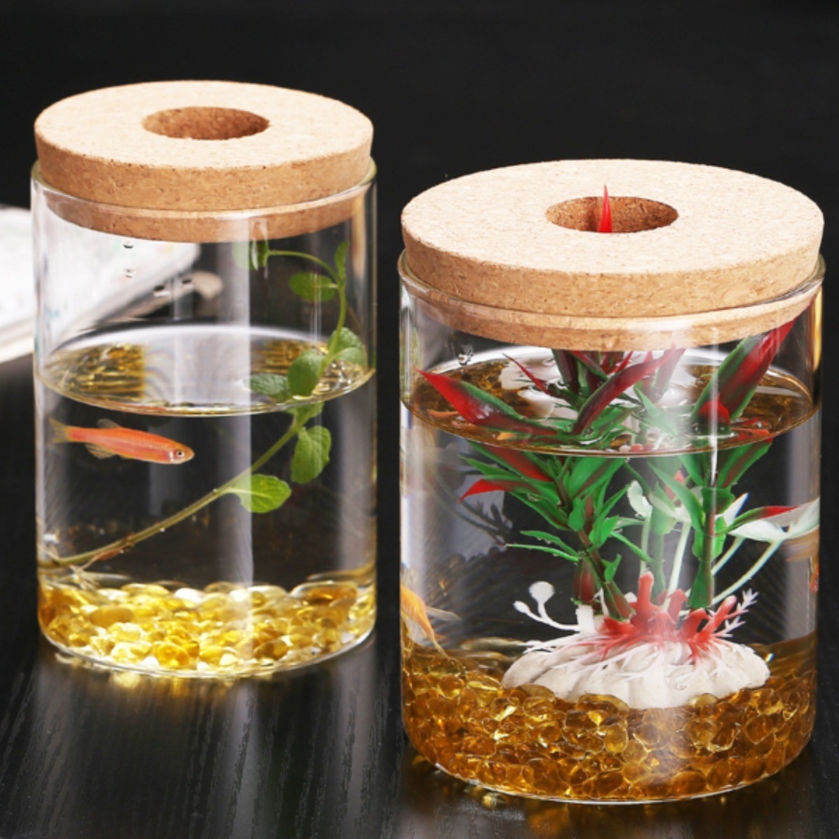 Micro-landscape seaweed ball, eco-friendly hydroponic green plant vase, desktop high-borosilicate glass mini decorative piece, viewing bottle
