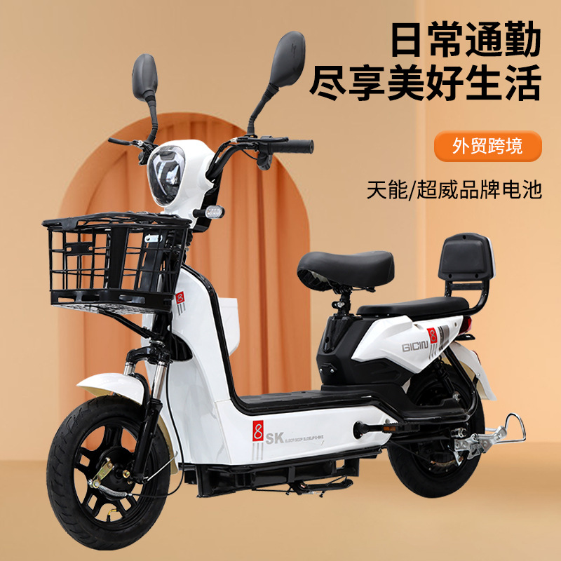 2026 new national standard electric bicycle cross-border foreign trade cash blast two-person electric bicycle source manufacturer