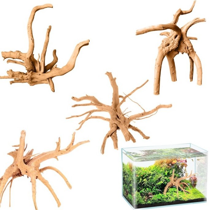 Shark reef landscapes sedimentary forests false mountain roots landscapes full set of basins moss black shrimp zebrafish small roots