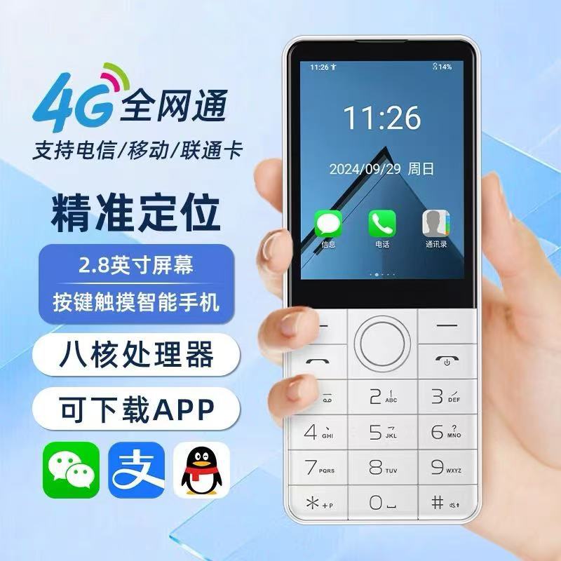 Dowei R17 ((F22)) is a 4G mobile phone for seniors without a camera.