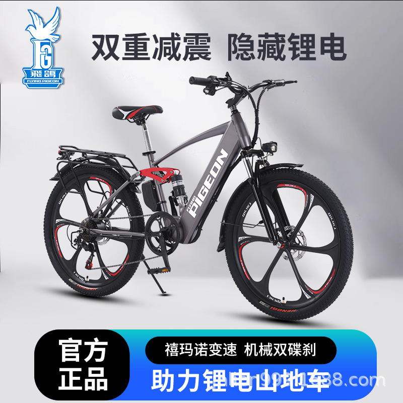 Feige Lithium Battery 400W Electric Mountain Bike, New National Standard Adult Pedal-Assist E‑Bike, Unisex Electric Bicycle