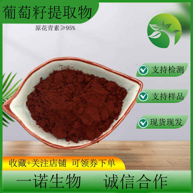 Grape Seed Proanthocyanidins 95% — Grape Seed Extract, Water‑Soluble, In Stock, OPC Oligomeric Proanthocyanidin Powder